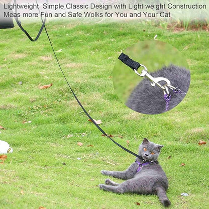 AMAGOOD 6 FT Cat Leashes, Strong Traditional Style Leash with Easy to Use Collar Hook,Cat Lead Great for Cats (Black(Pack of 1),3/8" x 6 Feet)