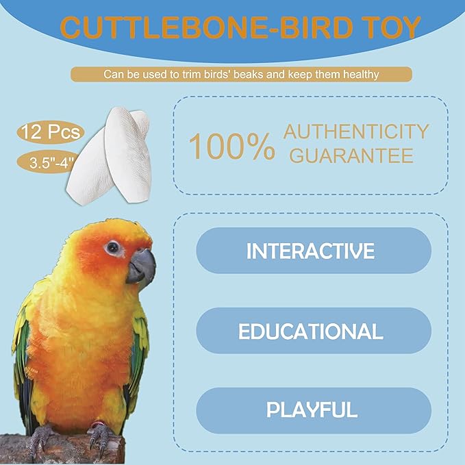 Jmxu's 3.5"-4" Cuttlebone for Birds Natural Cuddle Bone for Parakeets, Cuttlefish Bone for Sharp Beaks, Natural Birds Calcium for Parrot Cockatiels Budgie, 12Pcs