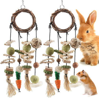 Bissap Bunny Chew Toy, 2 Packs Rabbits Cage Hanging Chew Toys and Treats Rattan Ring with Snacks for Guinea Pigs Chinchillas Hamsters Rats and Other Small Pets Teeth Grinding