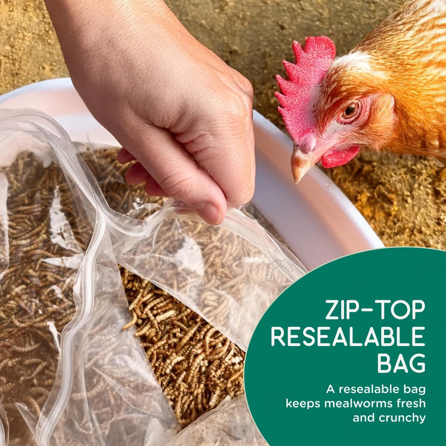 FLYGRUBS 10 lb Dried Black Soldier Fly Larvae - High Calcium Chicken Feeder - 85X More Calcium, Non-GMO Meal Worms for Wild Birds, Ducks, Turkeys, Quails, Turtles - Nutrient-Rich BSFL