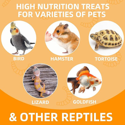 6 Pack Canned Black Soldier Fly Larvae for Reptiles, Fish, Birds and Small Animals, BSF, Healthy High Protein Treat, Reptile Bird Fish Food 7.2 Ounces Total