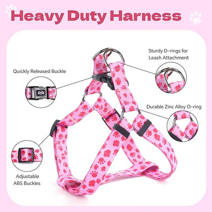 QQPETS Dog Harness Leash Set Adjustable Heavy Duty No Pull Halter Harnesses for Small Medium Large Breed Dogs Back Clip Anti-Twist Perfect for Walking