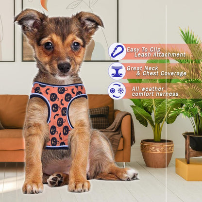 Comfort Fit Dog Harness Soft Padded No Pull Harness with Adjustable Buckles for Small Medium Large Dogs Step in Pet Vest with Easy Control Handle for Walking Jogging Running Training Dogs & Puppies