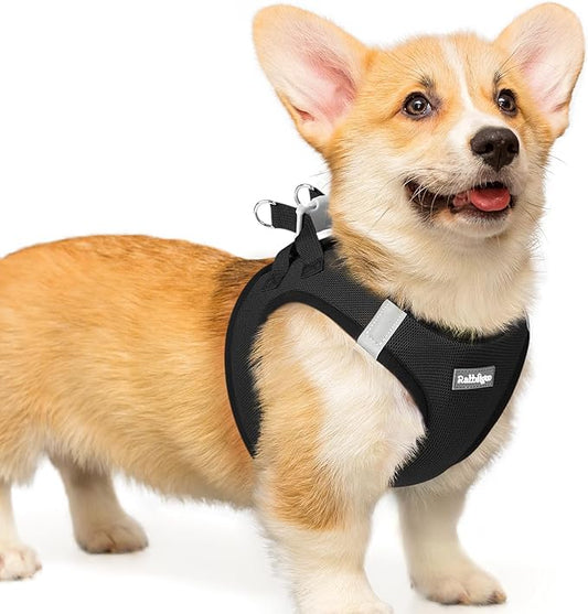 rabbitgoo Small Dog Harness, Step-in Soft Mesh Puppy Vest with Safety Buckle, Breathable Reflective Pet Harness for Small Medium Dogs, Black L