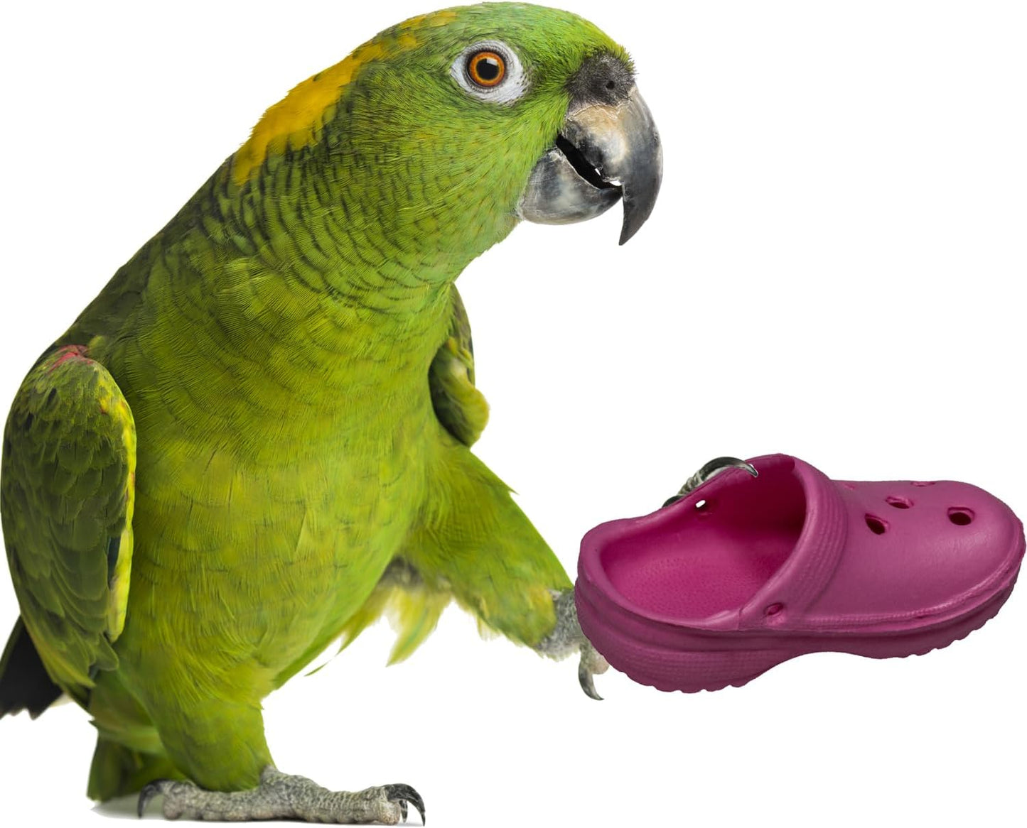 Super Bird Creations SB1192 Crocs Bird Toy - Ideal for Parrots, Ringnecks, Quakers, Small Cockatoos - Perfect for Chewing, Foraging, and Boredom Relief - Colorful Foot Toy - Medium Bird Size, 5-Pack