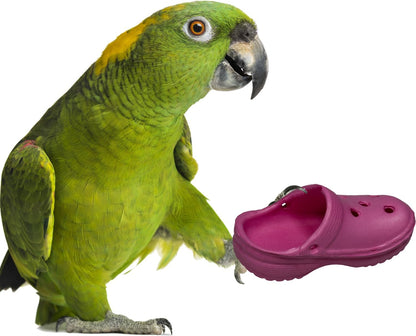 Super Bird Creations SB1192 Crocs Bird Toy - Ideal for Parrots, Ringnecks, Quakers, Small Cockatoos - Perfect for Chewing, Foraging, and Boredom Relief - Colorful Foot Toy - Medium Bird Size, 5-Pack