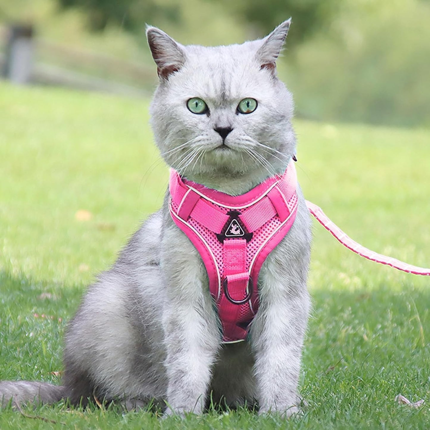 Cat Harness and Leash for Walking Soft Cat Harness Escape Proof, Adjustable Kitten Harness Cat Leash Reflective Strips Jacket, Breathable Cat Vest Harness Set for Kitten Easy to Wear Outdoor Walking