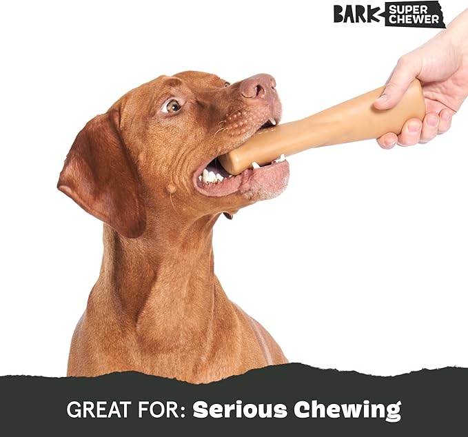 Barkbox Super Chewer Tough Dog Chew Toys for Aggressive Chewers, Dental Stimulating (PB Bone - Large)