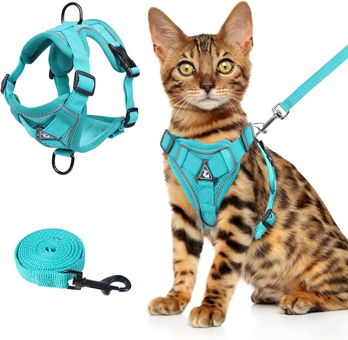 Wanheart Summer cat Chest Harness and Leash, Anti-Escape Adjustable Soft mesh cat Leash and Chest Harness Set for All Types of Cats cat Vests (Emerald, L)
