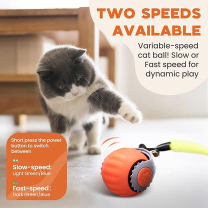 Interactive Cat Toy for Indoor Cats, Two Speed Smart Automatic Cat Toy Moving Ball with Tail, Rechargeable Motion Activated Cat Toys for Bored Indoor Adult Cats (Adapter Not Included)