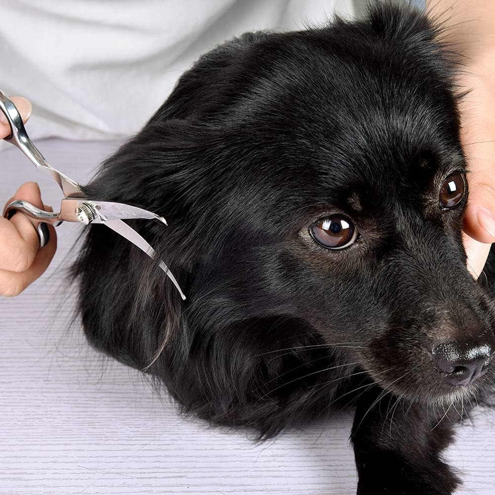 Chibuy Curved dog grooming scissors with Round Tips, Pet Shear for Cats, 4CR Stainless Steel Bending, Professional Tools for Home