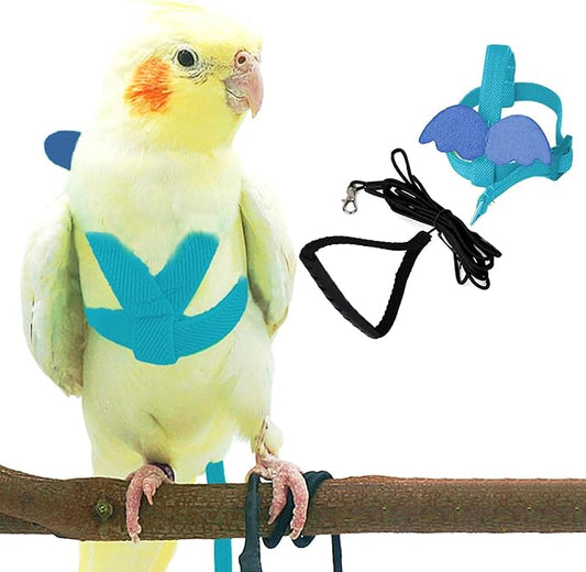Dnoifne Pet Parrot Bird Harness and Leash, Adjustable Training Design Anti-Bite, Bird Nylon Rope with Cute Wing for Parrots, Suitable for Scarlet, Keck, Mini Macaw and Same Size Birds (Light Blue)