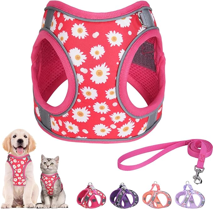 Step in Dog Harness and Leash Set, Flower Adjustable Easy Walk Puppy Harnesses, Soft Mesh Pet Vest Harness Small Size Dog Adjustable No Pull Dog Harness for Small Medium Dogs(Rose red, M)