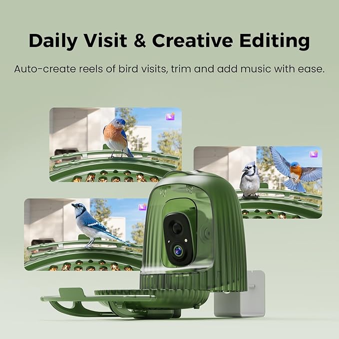 HIXX Smart Bird Feeder with Camera, AI Bird Identifier & 4MP Color Night Vision, Exclusive Vertical View Mode, Squirrel-Deterrent Design, Solar Light for Nature Lovers (Color Light)