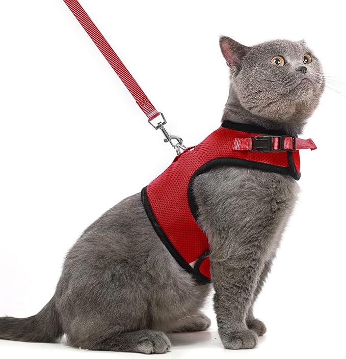 PUPTECK Soft Mesh Cat Vest Harness and Leash Set Puppy Padded Pet Harnesses Escape Proof for Cats Small Dogs Rabbits Bunny