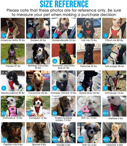 Lukovee Dog Seat Belt for Car, Adjustable Dog Car Harness for Large Medium Small Dogs, Soft Padded & Breathable Mesh Dog Seatbelt with Car Strap and Carabiner(Rose Double Clip,X-Small)