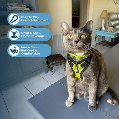 Voyager Step-in Lock Adjustable Cat Harness w. Cat Leash Combo Set with Neoprene Handle 5ft - Supports Small, Medium and Large Breed Cats by Best Pet Supplies - Lime Green/Black Trim, XXXS