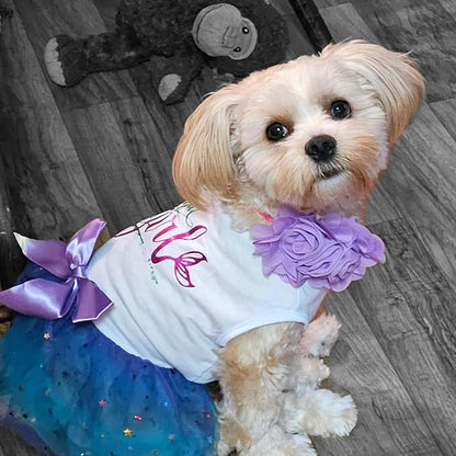 10 PCS Dog Collar Flowers, Multi-Color Pet Bow Ties Flower, Sliding Pet Collar Grooming Accessories for Puppy Small Medium Large Dogs Kitten Cats Rabbits