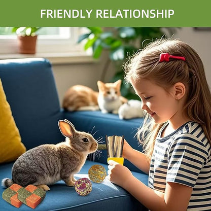 50-60pcs Bunny Chew Toys for Rabbits Teeth, Natural Rabbit Toys Apple Wood Sticks, Carrot, Timothy Grass Treats for Small Pets, Hamster, Chinchilla, Guinea Pig (50-60Pcs Rabbit Treats)