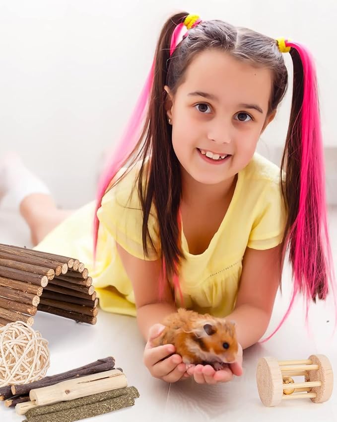 Sofier Hamster, Guinea Pig Toys Accessories Natural Chews for Teeth Rabbit Bunny Rat Chinchilla Hideout Ball Apple Wood Timothy Hay Sticks