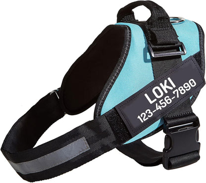 PawPawify Custom No Pull Dog Harness with Name and Phone Number, Heavy Duty Personalized Pet Vest to Prevent Tugging, Pulling, or Choking, Training and Walking (Sky Blue, L (Chest 23-30in))