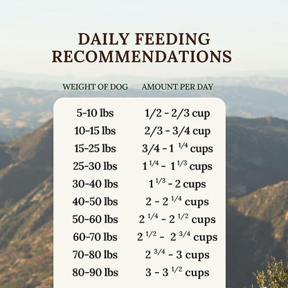 360 Pet Nutrition Freeze-Dried Raw Dog Food – Multi-Protein with Beef, Chicken, Fish, Liver & Organs, High Protein, Omega-3s, Fruits, Veggies & Superfoods, Grain-Free, No Fillers, 1 lb – Made in USA