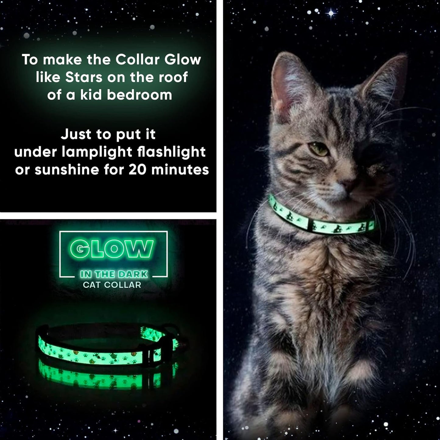 Pawtitas Glow in The Dark Cat Collar with Safety Buckle and Removable Bell Cat Collar Kitten Collar Blue Cat Collar