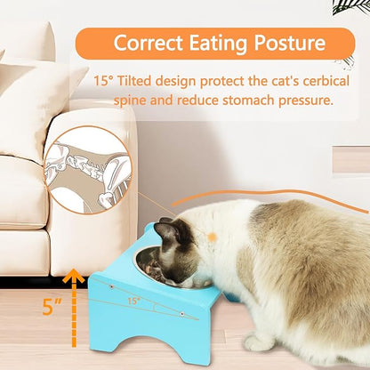 Elevated Cat Bowls,2 Stainless Steel Pet Food Water Feeder,15°Tilted Raised Pet Dish, Slanted Dog Bowl with Wood Stand for Kitty and Puppy,Wide 5.51" (Blue)