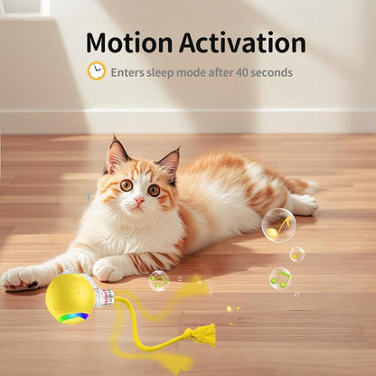 Interactive cat Toys for Bored Indoor Adult Cats. Motion Activated, RGB Lighting, 3 Motion Modes. Kitten Toys for Indoor Cats self Play