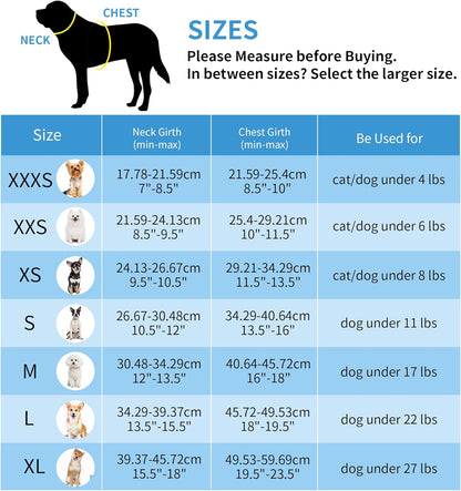 AIITLE Small Harness for Puppy with A Leash - Summer Dog Vest Harness with Super Breathable Mesh, Reflective No-Pull Pet Harness for Outdoor Walking, Camping for Small Dogs, Cats Royal Blue XXS