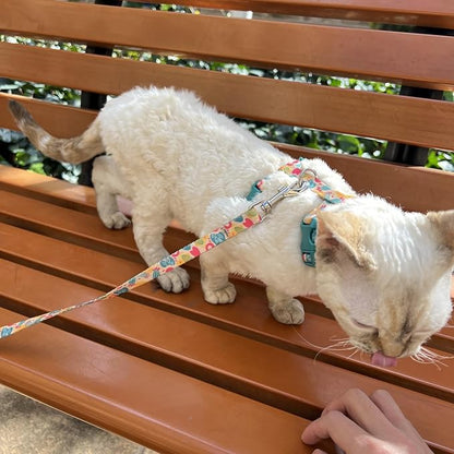 azuza Cat Harness and Leash Set for Safe Walking and Travel, Escape Proof Cat Harness, Lightweight Soft and Comfortable, Adjustable Kitten Harness for Small Medium Large Cats, Yellow Cactus