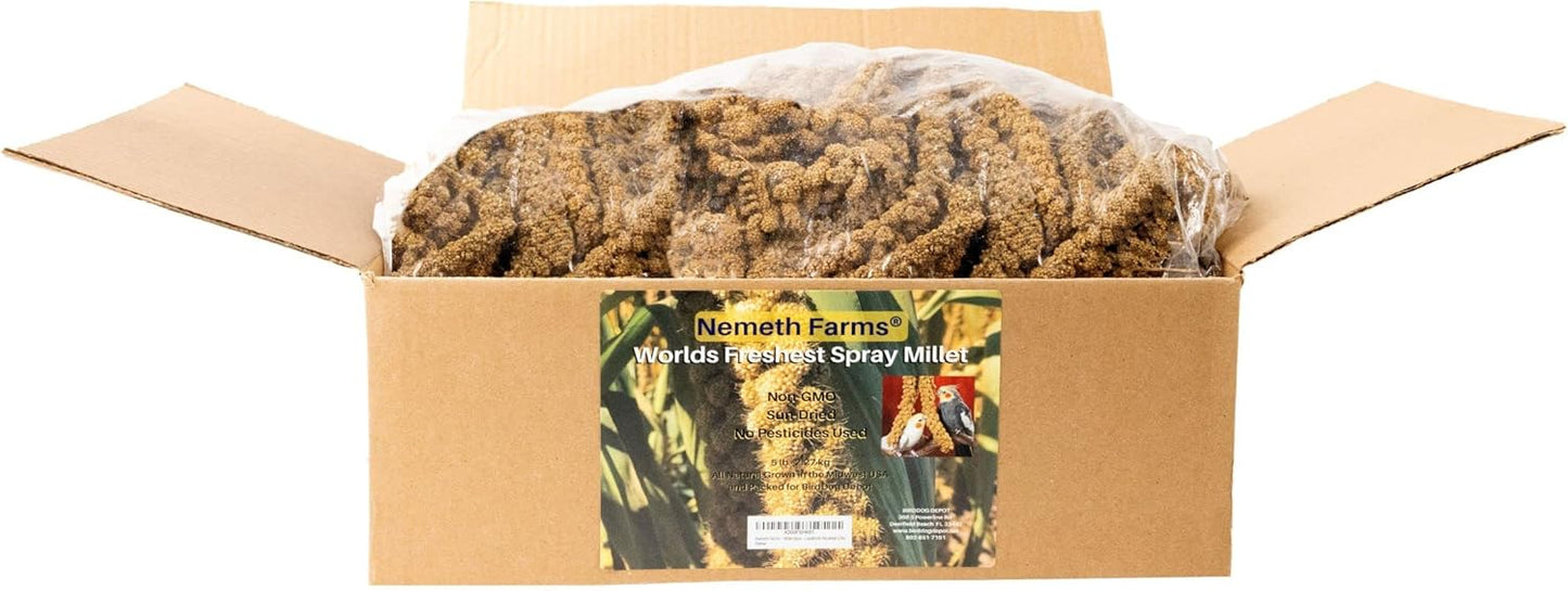 Nemeth Farms Worlds Freshest GMO-Free, Sun Dried Spray Millet No Stems Only Edible - Tops-Original Bird Treat and Supplement for Pet Birds Parakeets, Cockatiels, Lovebirds and Finches - 5lbs