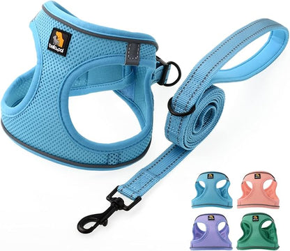 BELLA & PAL Step in Vest Harness for Small and Medium Dogs, No Pull Small Dog Harness with Leash Set, Comfortable Air Mesh Dog Vest Harness with Reflective Strip (Sky Blue, XXS)