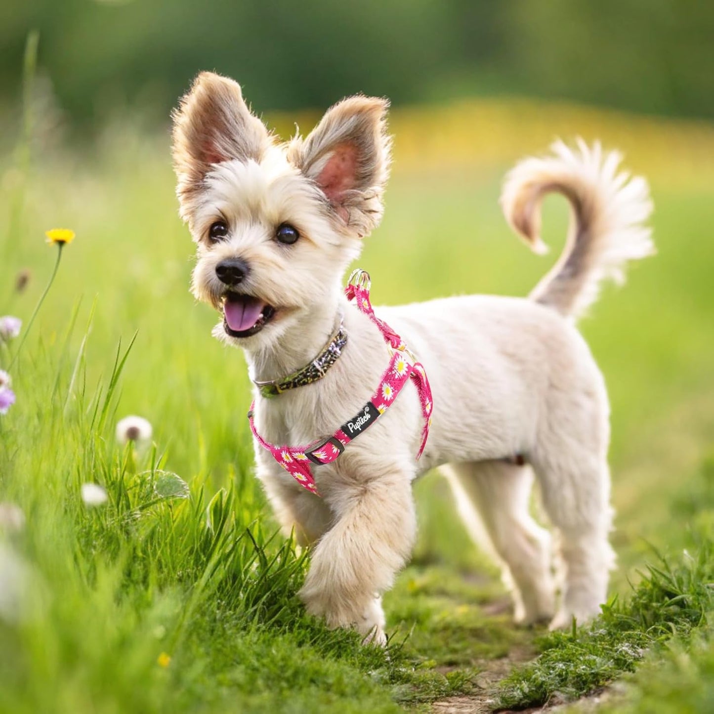 PUPTECK No Pull Dog Harness Soft Adjustable Basic Nylon Step in Puppy Vest Outdoor Walking with ID Tag, Fuchsia Daisy, M