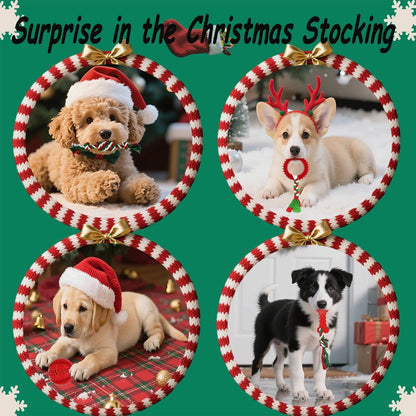 Dog Toys 15 Pack for Teeth Cleaning and Fun, Puppy Teething Chew Toys Tug Rope Squeaky Treat Balls & Rubber Tous Bulk– Variety Dog Gifts Set Reduce Anxiety & Save Furniture, Christmas