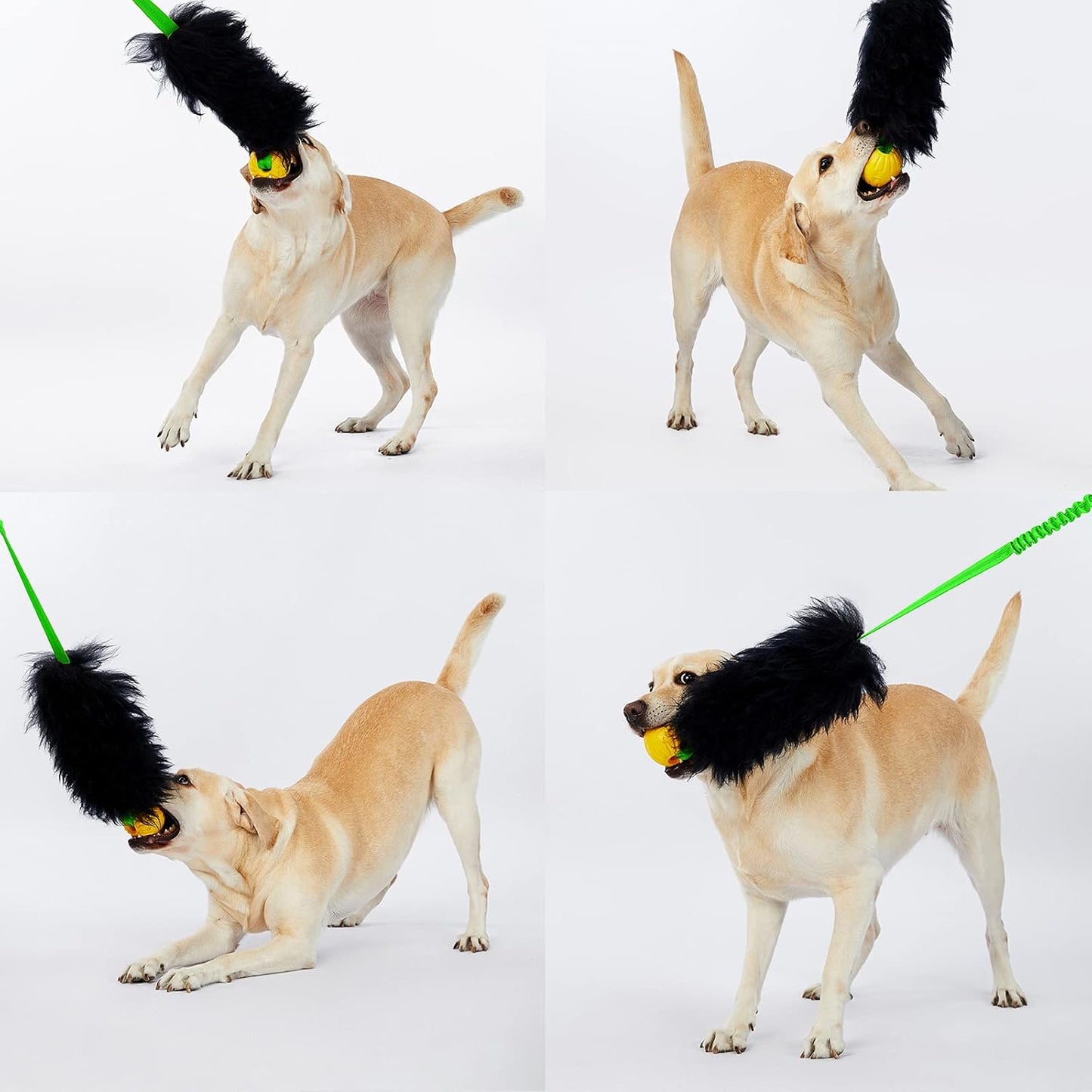 HOWGO Dog Rope Toy,Dog Bungee Chaser Toy 100% Sheepskin,Sheep Smell Tug Toy for All Breeds (Green, Short Without Ball)