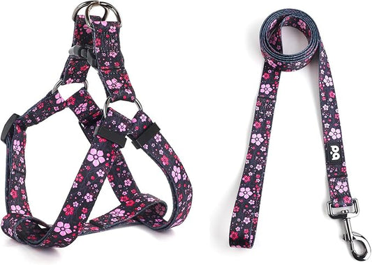 QQPETS Dog Harness Leash Set Adjustable Heavy Duty No Pull Halter Harnesses for Small Medium Large Breed Dogs Back Clip Anti-Twist Perfect for Walking