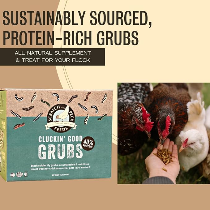 Scratch and Peck Feeds Cluckin' Good Grubs for Chickens - Natural Protein and Calcium Supplement Feed - Dried Black Soldier Fly Larvae Bird Treats - Grown in The USA (8 Pound)