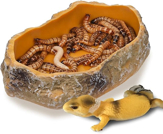 IBWell 5 Inch Reptile Food Dish Escape Proof Reptile Feeding Dish Resin Reptile Water Food Bowl for Bearded Dragon Chameleon Frog Snake Turtle Leopard Gecko