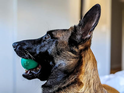 Chew King Dog Fetch Balls for All Breed Sizes