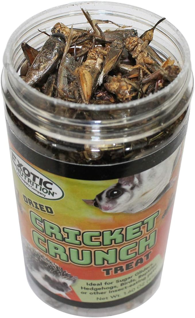 Cricket Crunch (1.6 oz) - All Natural Healthy High Protein Insect Treat - Chickens, Birds, Hedgehogs, Bluebirds, Reptiles, Sugar Gliders, Opossums, Skunks, Lizards, Fish, Turtles, Amphibians (1.6 oz.)