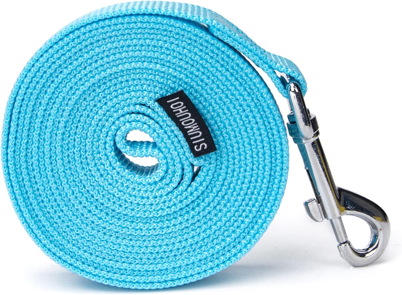 Strong Durable Nylon Dog Training Leash, 1 Inch Wide Traction Rope, 10 ft Long, for Small and Medium Dog (Mint Blue, 10 Feet)