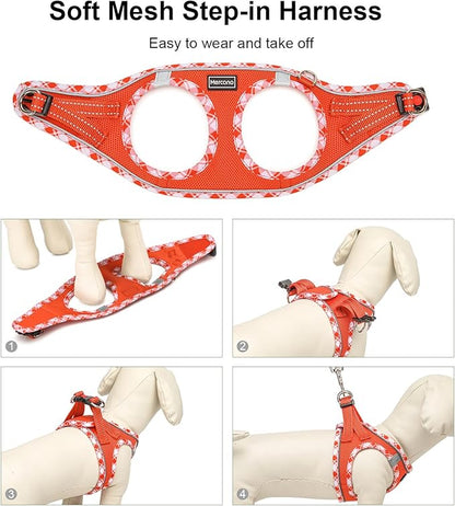 Mercano Soft Mesh Dog Harness and Leash Set, No-Chock Step-in Reflective Breathable Lightweight Easy Walk Vest Harnesses with Safety Buckle for Small Dogs, Cats (Tangerine, XXS)