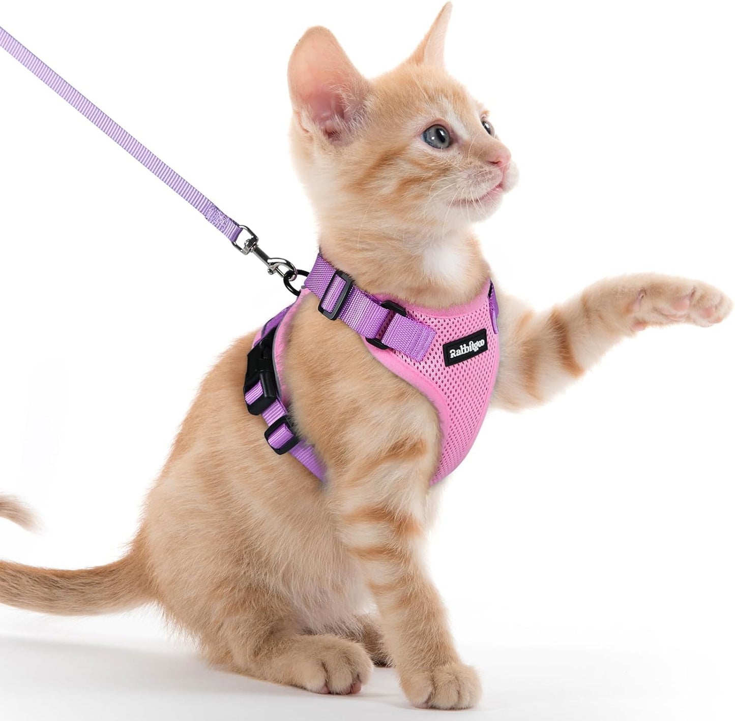 rabbitgoo Cat Harness and Leash for Walking, Escape Proof Soft Adjustable Vest Harnesses for Cats, Easy Control Breathable Reflective Strips Jacket, Pink & Purple, XXS