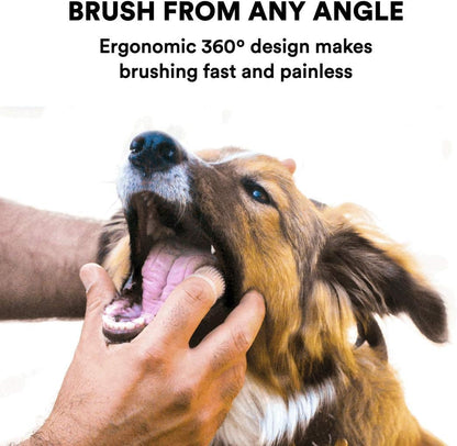 Jasper Dog Toothbrush, 360 Degree Dog Tooth Brushing Kit, Cat Toothbrush, Canine Dental Care & Teeth Cleaning Kit, Pet Finger Tooth Brush, Use with Pet Toothpaste, 2-Pack Clear