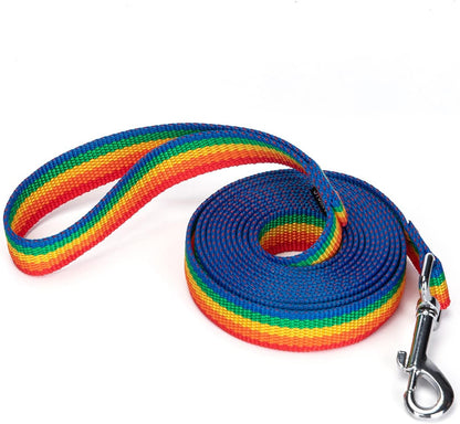 Strong Durable Nylon Dog Training Leash, 1 Inch Wide Traction Rope, 6 ft 10ft 15ft Long, for Small and Medium Dog (Rainbow, 10 Feet)