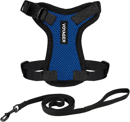 Voyager Step-in Lock Cat Harness and Reflective Cat Leash with Neoprene Handle by Best Pet Supplies - Supports Small, Medium and Large Breed Cats, Royal Blue/ Black Trim, size S - 5ft