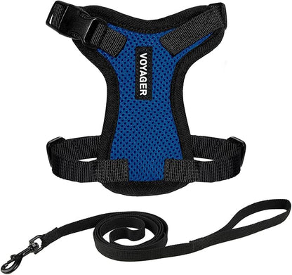 Voyager Step-in Lock Adjustable Cat Harness w. Cat Leash Combo Set with Neoprene Handle 5ft - Supports Small, Medium and Large Breed Cats by Best Pet Supplies - Royal Blue/Black Trim, XS