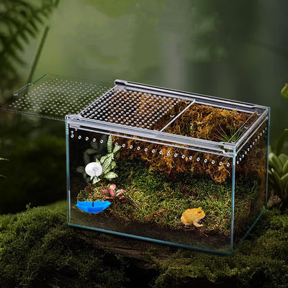 3 Pack Amphibian Aquatic Frogs Habitats, Tree Frog Terrarium Accessories, Plastic Umbrella Decorations with Suction Cups for Terrarium, Tree Frog, Toad, Tadpole