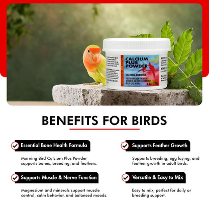 Morning Bird Calcium Plus Powder for Birds 6 oz – Calcium Supplement with Vitamin & Protein Powder – Supports Bone Health, Muscle Function & Digestive Balance – Easy-to-Mix Calcium Formula
